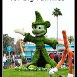disney_world_tips_for_big_families