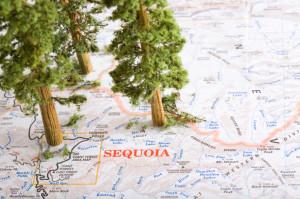 Map of Sequoia