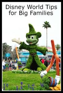 Disney World Tips for Big Families