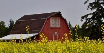 6 Great Rustic Barn Vacation Rentals for Big Families