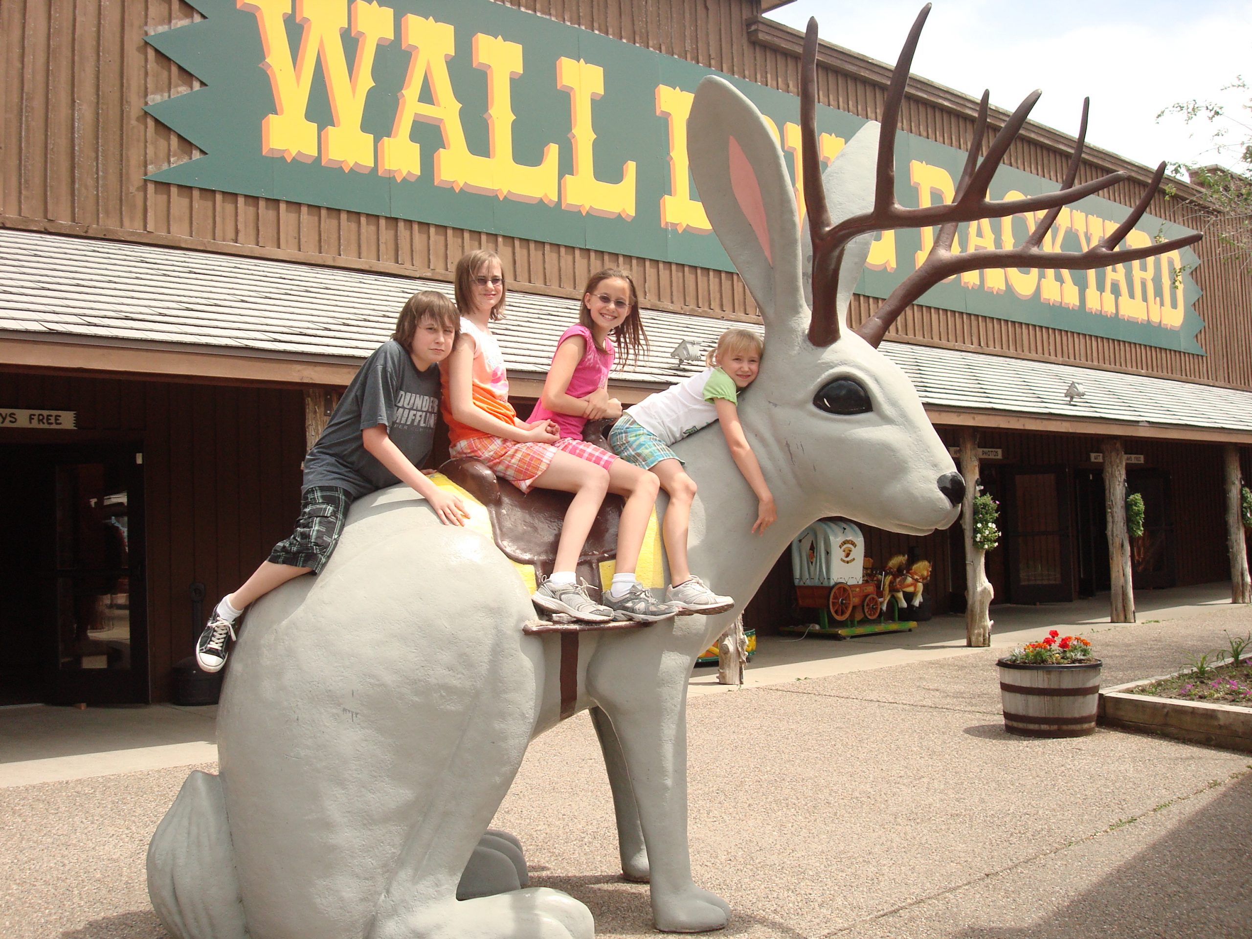 are dogs allowed at wall drug