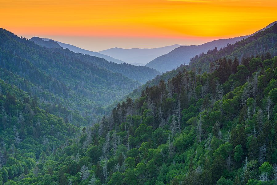 Ultimate Family Guide to Great Smoky Mountains National Park: How to Visit  with Kids - SixSuitcaseTravel - Big Family Travel