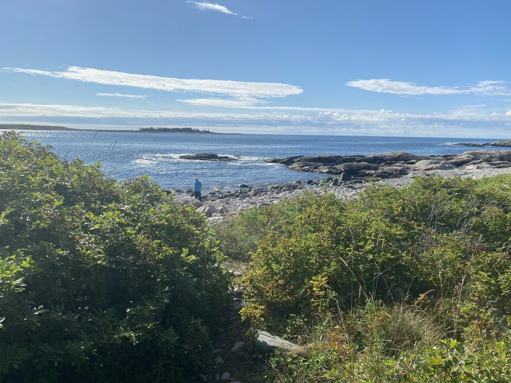 schoodic peninsula shore view