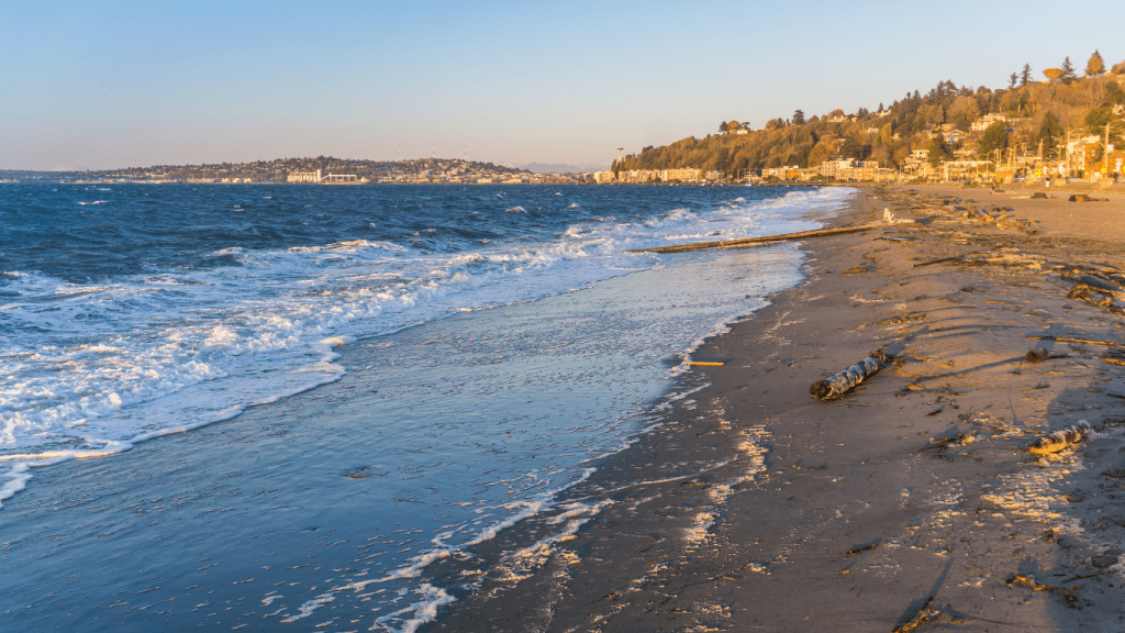 alki beach