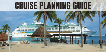 how to plan a big family cruise