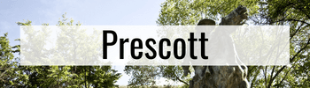 Link to Prescott hotels sleep big families of 5, 6, 7, 8