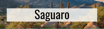 Link to Saguaro hotels sleep big families of 5, 6, 7, 8