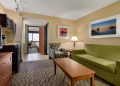 his duluth downtown suite