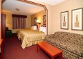 Comfort Inn &amp; Suites Rapid City