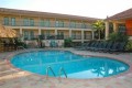 Holiday Inn Hotel &amp; Suites near Busch Gardens-USF