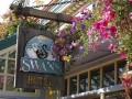 Swans Suite Hotel