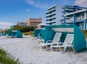 coconutpalmsbeachbeach