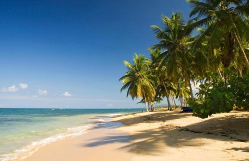 hotelaliseibeachview